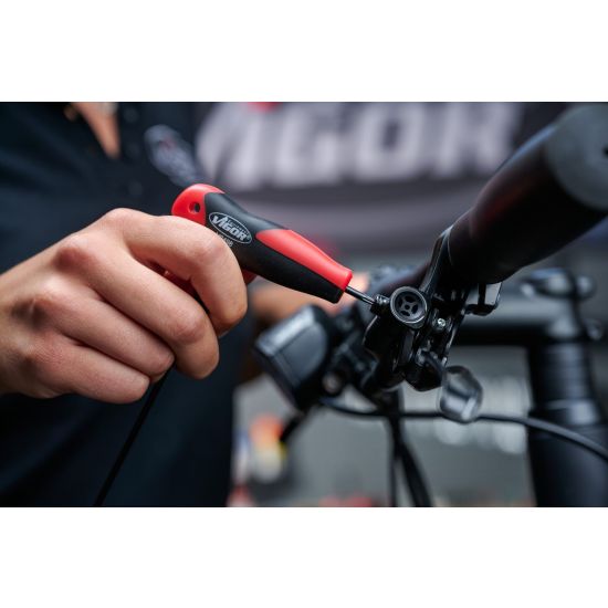 Σετ TORX® λαβής, 8 τεμαχίων HAZET-VIGOR 